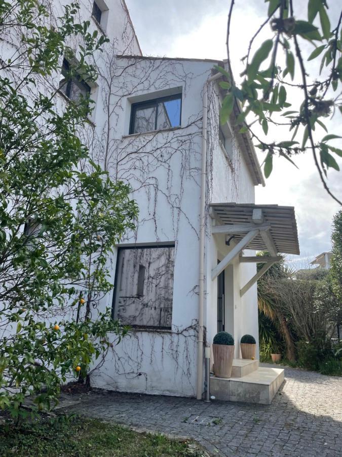 Sublime Haut De Villa Apercu Mer /Hippodrome / Cagnes-sur-Mer Ngoại thất bức ảnh