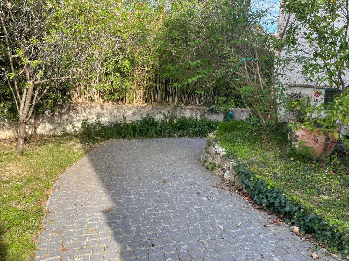 Sublime Haut De Villa Apercu Mer /Hippodrome / Cagnes-sur-Mer Ngoại thất bức ảnh