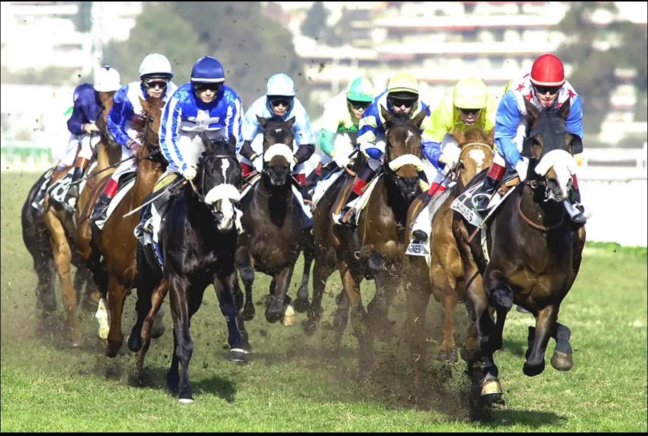 Sublime Haut De Villa Apercu Mer /Hippodrome / Cagnes-sur-Mer Ngoại thất bức ảnh